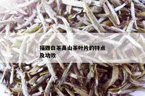 福鼎白茶高山茶叶片的特点及功效