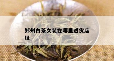 郑州白茶女装在哪里进货店址