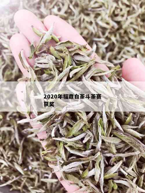 2020年福鼎白茶斗茶赛获奖