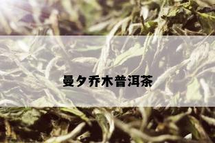 曼夕乔木普洱茶