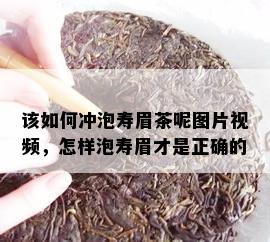 该如何冲泡寿眉茶呢图片视频，怎样泡寿眉才是正确的