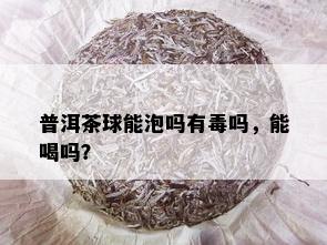 普洱茶球能泡吗有吗，能喝吗？