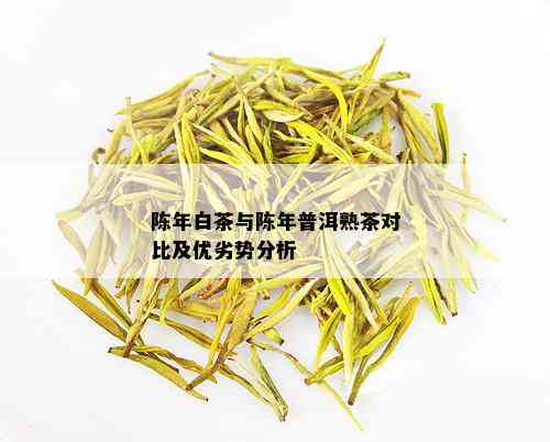 陈年白茶与陈年普洱熟茶对比及优劣势分析