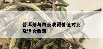 普洱茶与白茶收藏价值对比及适合收藏