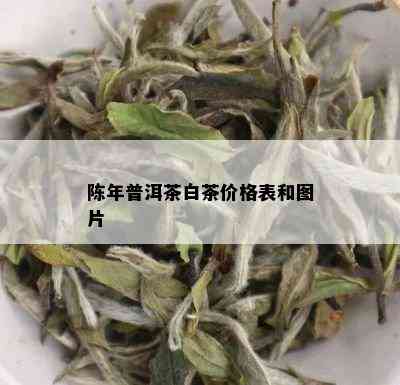 陈年普洱茶白茶价格表和图片