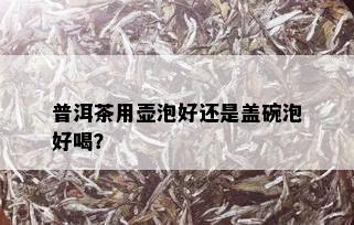 普洱茶用壶泡好还是盖碗泡好喝？