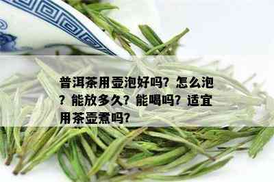 普洱茶用壶泡好吗？怎么泡？能放多久？能喝吗？适宜用茶壶煮吗？