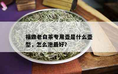 福鼎老白茶专用壶是什么壶型，怎么泡更好？