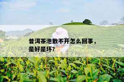 普洱茶泡散不开怎么回事，是好是坏？