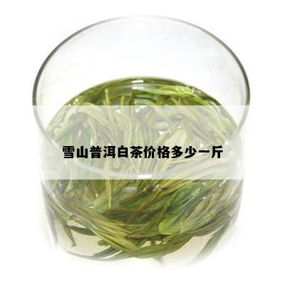 雪山普洱白茶价格多少一斤