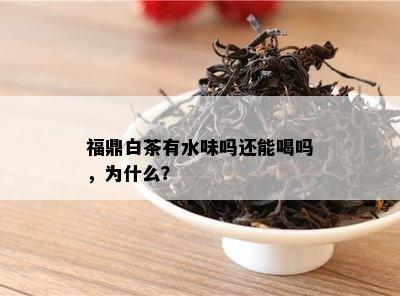 福鼎白茶有水味吗还能喝吗，为什么？