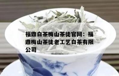 福鼎白茶梅山茶徒官网：福鼎梅山茶徒老工艺白茶有限公司