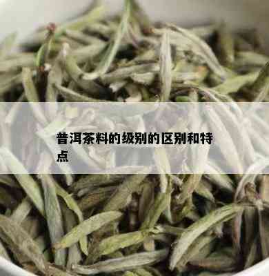 普洱茶料的级别的区别和特点