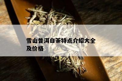 雪山普洱白茶特点介绍大全及价格