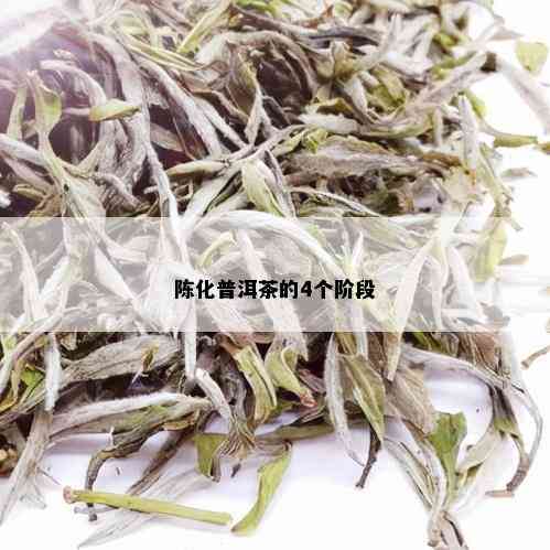 陈化普洱茶的4个阶段