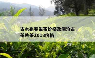 古木兆春生茶价格及澜沧古茶熟茶2018价格