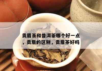 贡眉茶和普洱茶哪个好一点，贡眉的区别，贡眉茶好吗