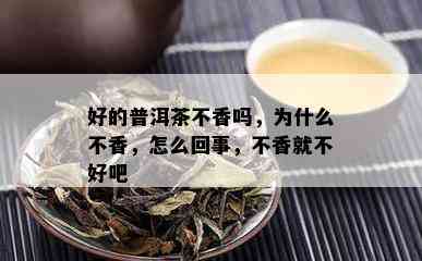 好的普洱茶不香吗，为什么不香，怎么回事，不香就不好吧