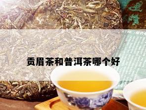 贡眉茶和普洱茶哪个好