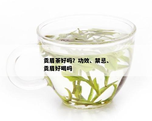 贡眉茶好吗？功效、禁忌、贡眉好喝吗