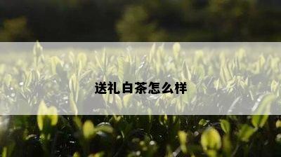 送礼白茶怎么样