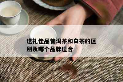 送礼佳品普洱茶和白茶的区别及哪个品牌适合