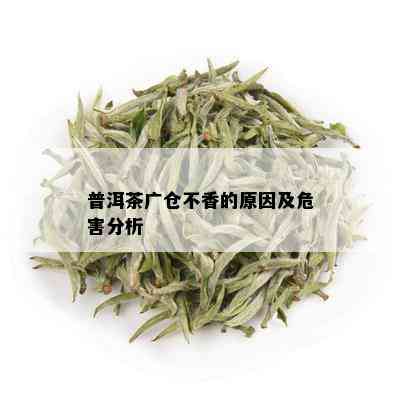 普洱茶广仓不香的原因及危害分析