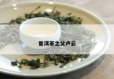 普洱茶之父卢云