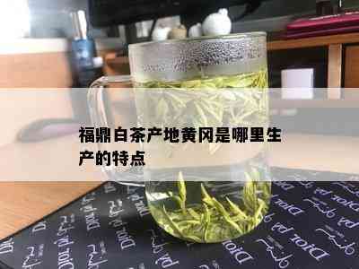 福鼎白茶产地黄冈是哪里生产的特点