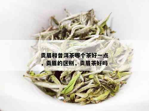 贡眉和普洱茶哪个茶好一点，贡眉的区别，贡眉茶好吗