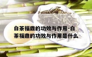 白茶福鼎的功效与作用-白茶福鼎的功效与作用是什么