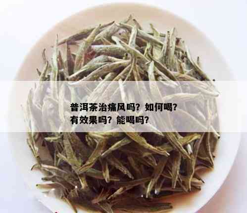 普洱茶治痛风吗？如何喝？有效果吗？能喝吗？