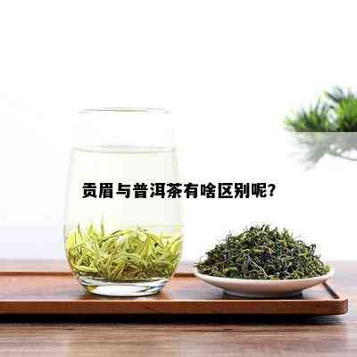 贡眉与普洱茶有啥区别呢？