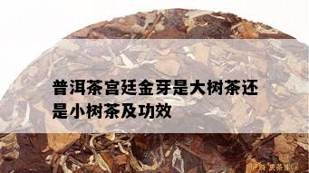 普洱茶宫廷金芽是大树茶还是小树茶及功效