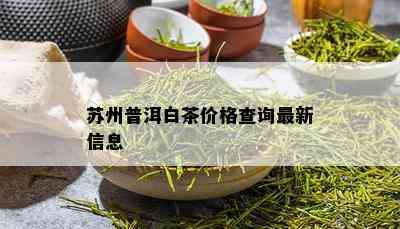 苏州普洱白茶价格查询最新信息