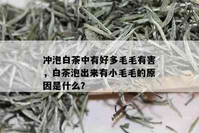 冲泡白茶中有好多毛毛有害，白茶泡出来有小毛毛的原因是什么？