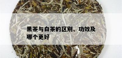 黑茶与白茶的区别、功效及哪个更好