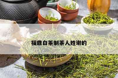 福鼎白茶制茶人姓谢的