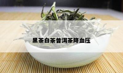 黑茶白茶普洱茶降血压