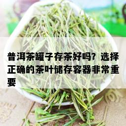 普洱茶罐子存茶好吗？选择正确的茶叶储存容器非常重要