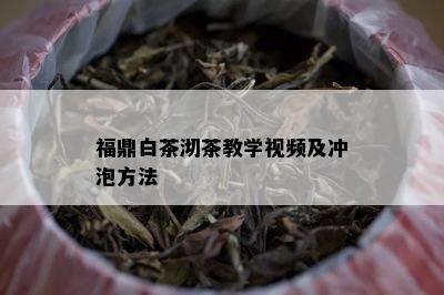 福鼎白茶沏茶教学视频及冲泡方法