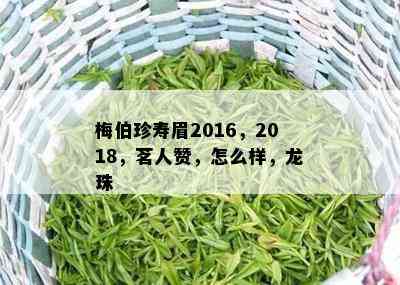 梅伯珍寿眉2016，2018，茗人赞，怎么样，龙珠