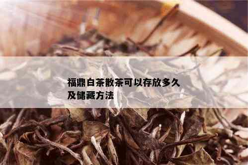 福鼎白茶散茶可以存放多久及储藏方法