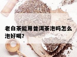 老白茶能用普洱茶泡吗怎么泡好喝？