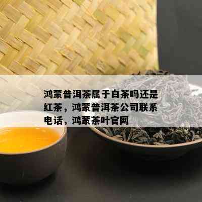 鸿蒙普洱茶属于白茶吗还是红茶，鸿蒙普洱茶公司联系电话，鸿蒙茶叶官网