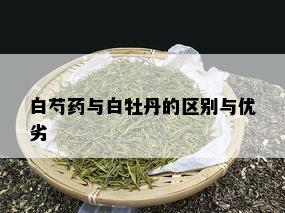 白芍药与白牡丹的区别与优劣