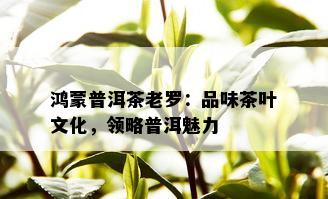 鸿蒙普洱茶老罗：品味茶叶文化，领略普洱魅力