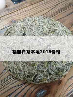 福鼎白茶本境2016价格