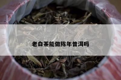 老白茶能做陈年普洱吗