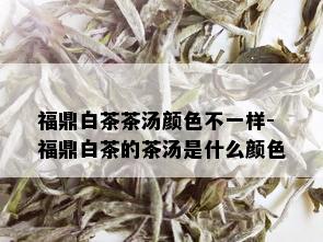 福鼎白茶茶汤颜色不一样-福鼎白茶的茶汤是什么颜色